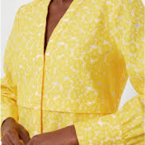 NWT Tuckernuck Daisy Jacquard Aurelia Maxi Dress, S - Picture 4 of 12